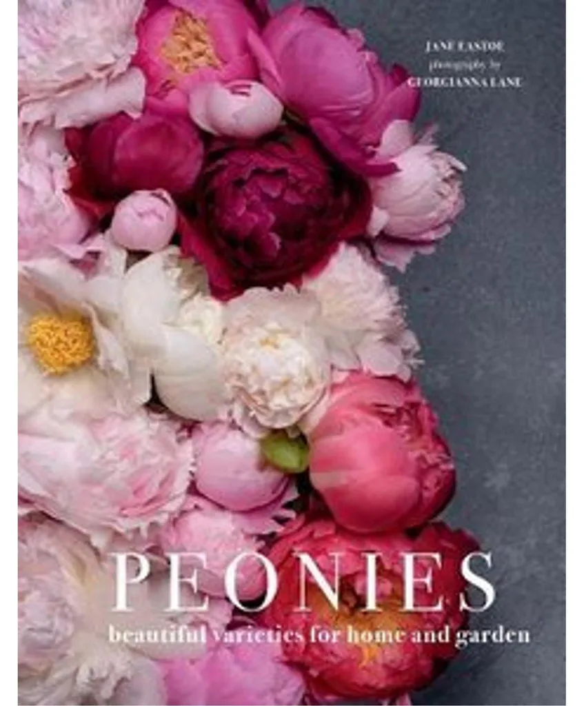 Pivoines artificielles sans entretien pour une déco fleurie sans allergie