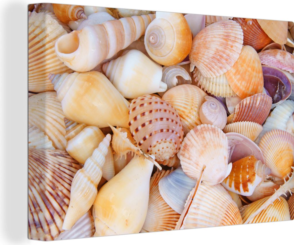 OneMillionCanvasses - Leinwandbilder - 140x90 cm, Muscheln - Strand - Sommer - Orange, Wandbilder Kunstdruck Wanddekoration - Foto auf Leinwand -...