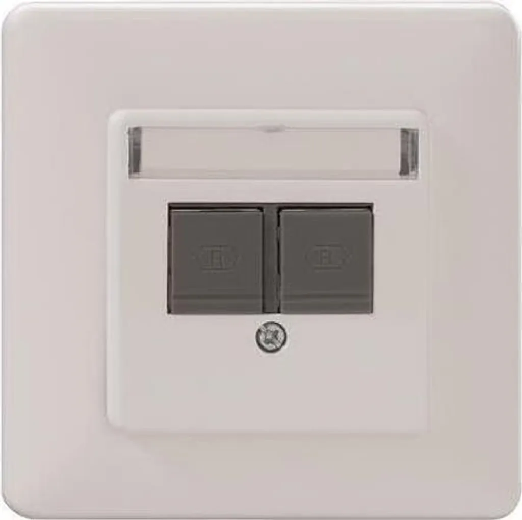 Prise réseau RJ45 murale Cat.6A iso double Rutenbeck module 139102040