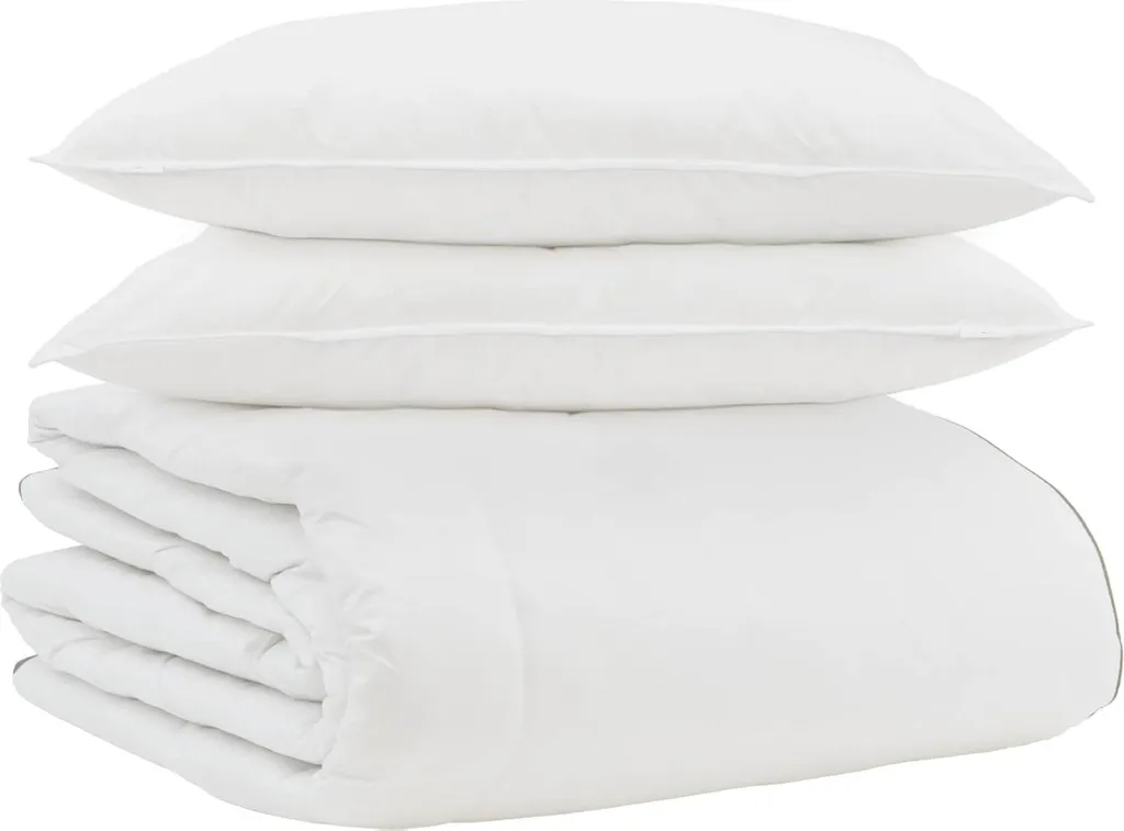 Kit Notte vidaXL: Piumino Invernale + 2 Cuscini in Microfibra