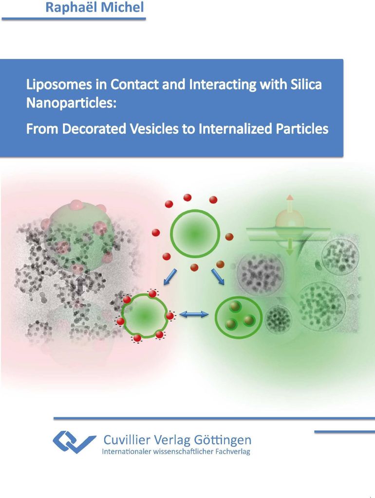 Liposomes in Contact and Interacting with Silica Nanoparticles: From Decorated Vesicles to Internalized Particles.