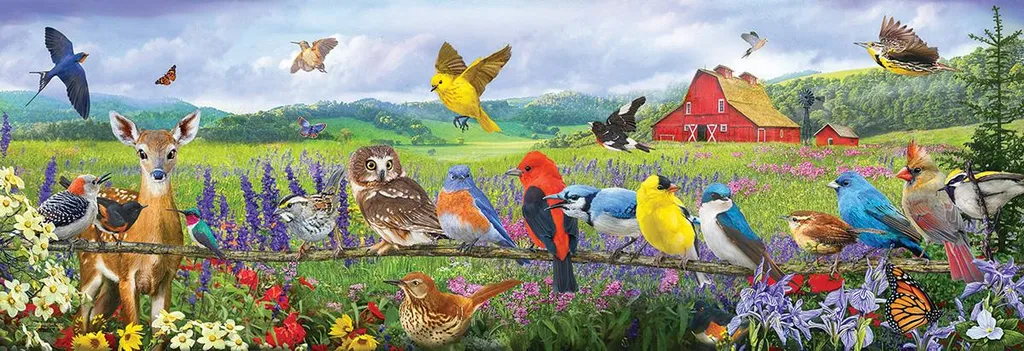 Puzzle 500 pièces XXL SunsOut anti-fatigue visuelle motif oiseaux
