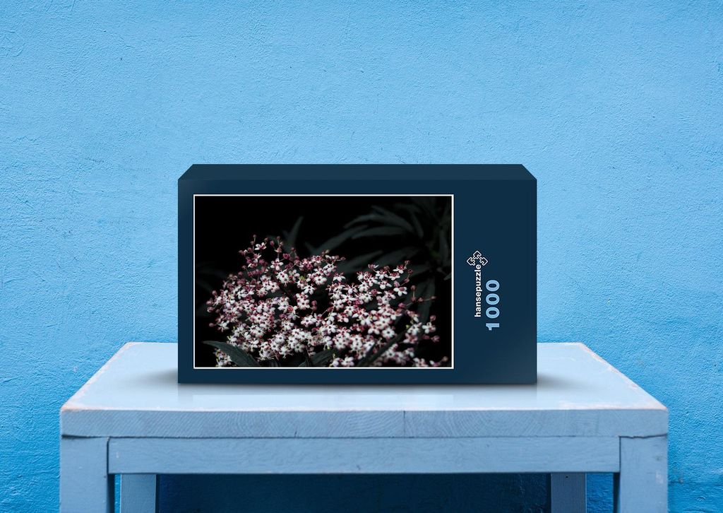 hansepuzzle 28212 - Blüte Puzzle, 1000 Teile, Natur, 60,0 x 46,0cm mit hochwertiger Aufbewahrung, Kartonbox und wiederverschließbarem Beutel