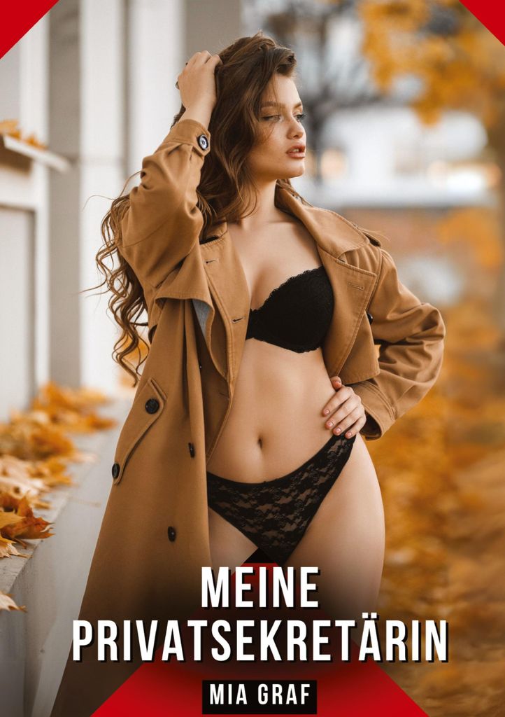 Meine Privatsekretärin - Erotikroman für Erwachsene