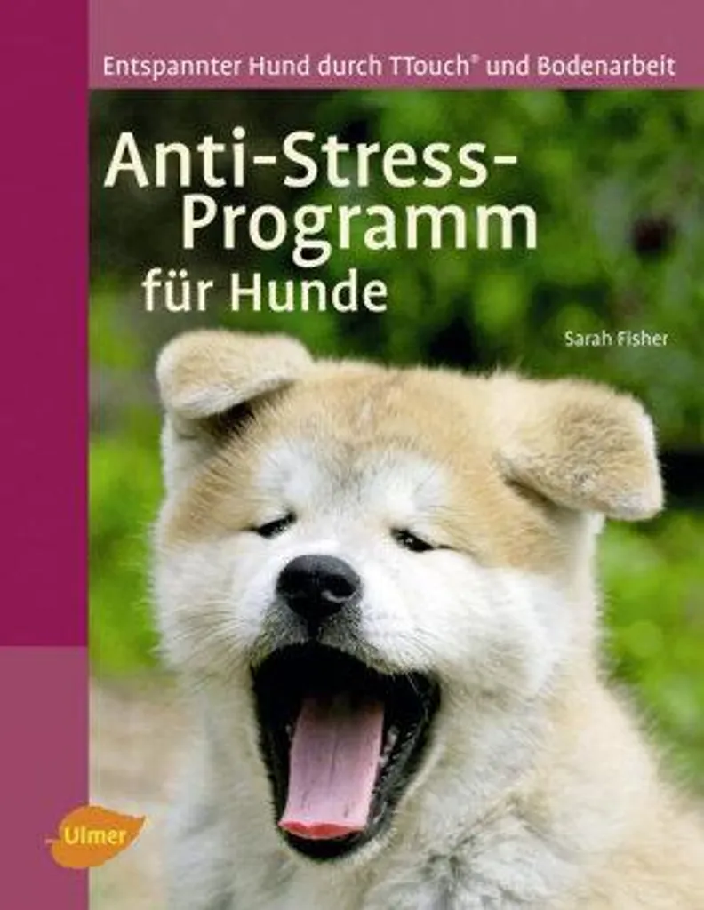 Stopper l'Anxiété Canine - Anti-Stress Programm Haute Efficacité