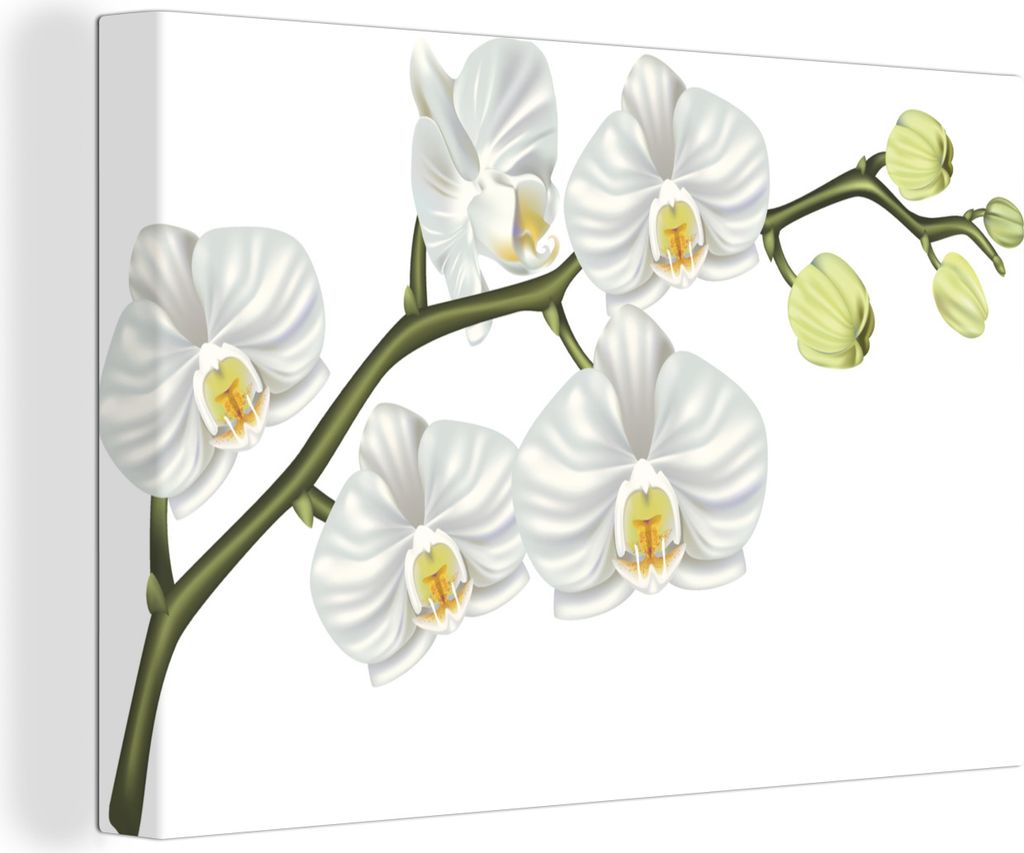 OneMillionCanvasses - Leinwandbilder - 140x90 cm, Eine Illustration einer weißen Orchidee, Wandbilder Kunstdruck Wanddekoration - Foto auf Leinw...