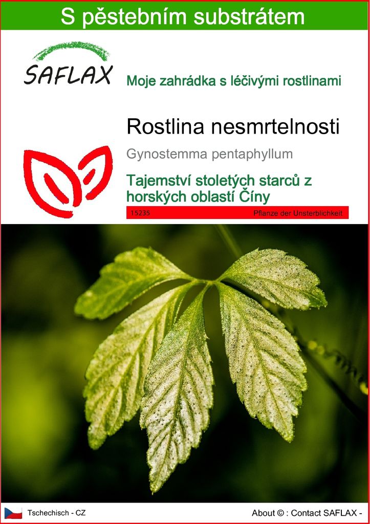 SAFLAX - rostlina nesmrtelnosti - Gynostemma pentaphyllum - Obrázek produktu 