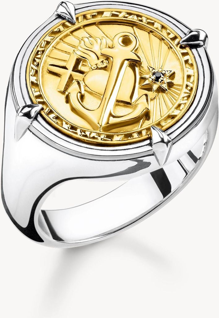 Thomas Sabo Signet Rings TR2246-849-39 Ring, Ringgröße:64 Produktbild 