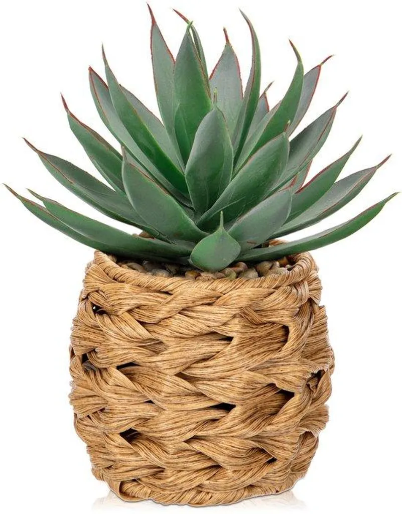 Plante artificielle d'aloès 21 cm : plus de feuilles mortes ni arrosage