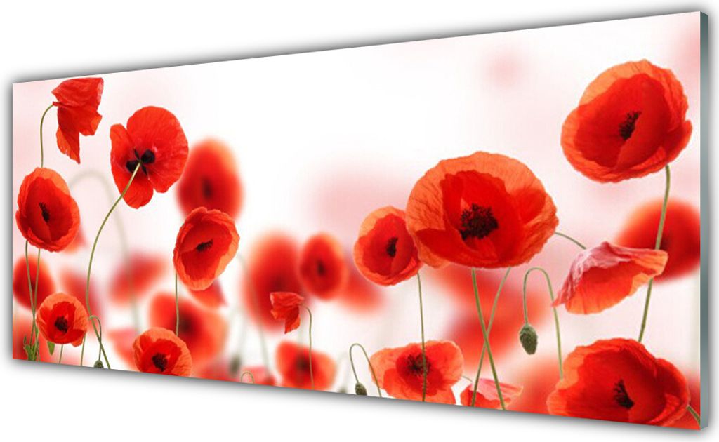 Glasbilder 125x50 Wandbild Druck auf Glas Mohnblumen Pflanzen