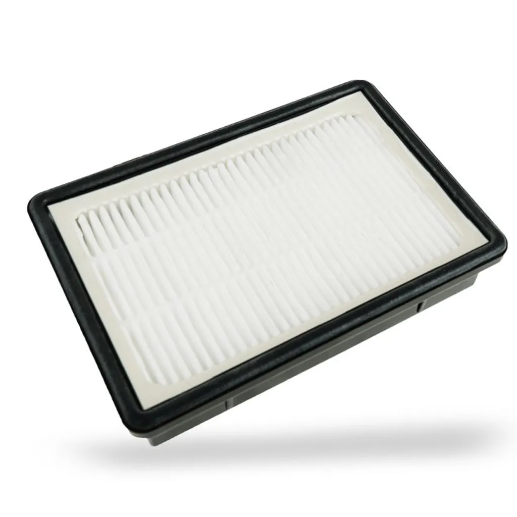 Filtre haute efficacité DED66041 pour Dedra DED6604 - Protection Moteur