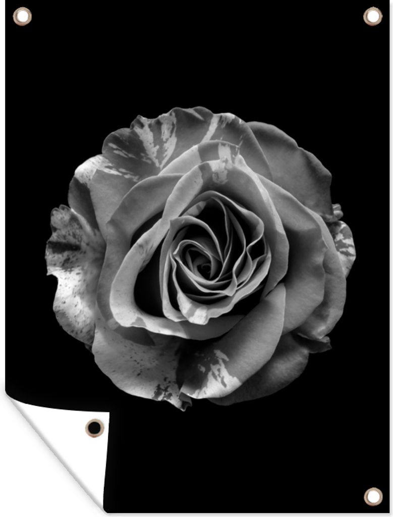 MuchoWow 60x80 cm Outdoor-Poster Gartendeko Sichtschutz Garten Poster für den Garten Blumen - Rose - Schwarz - Weiß - Botanisch