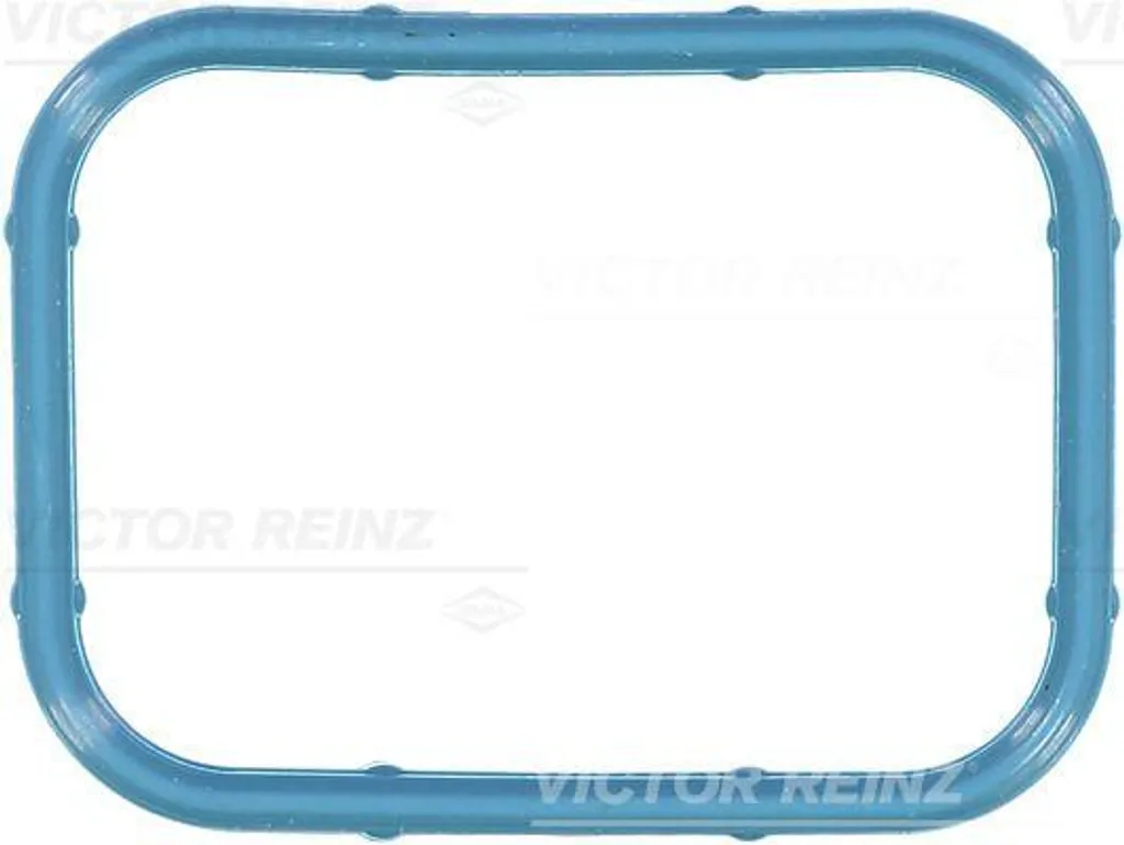 VICTOR REINZ 71-10434-00 Guarnizione Collettore Aspirazione OE 53010310AB