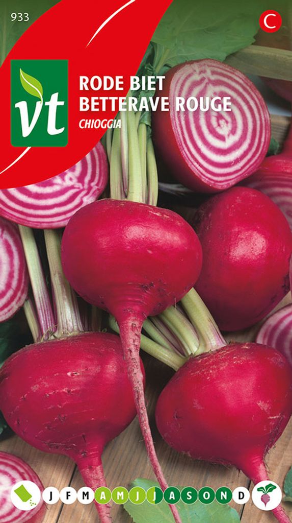 Rote Bete Chioggia Samen - ca. 3 gr | VT_933 Obrázek produktu 