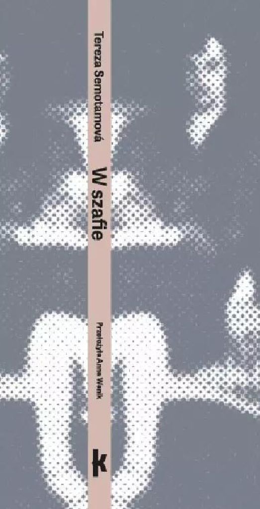 W szafie - Tereza Semotamova (Buch auf Polnisch)