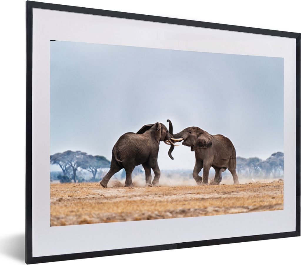 MuchoWow MuchoWow Gerahmtes Poster Elefant - Tiere - Flachland - Natur 60x40 cm - Poster mit zchwarzem Bilderrahmen - Schlafzimmer - Plakat in ...