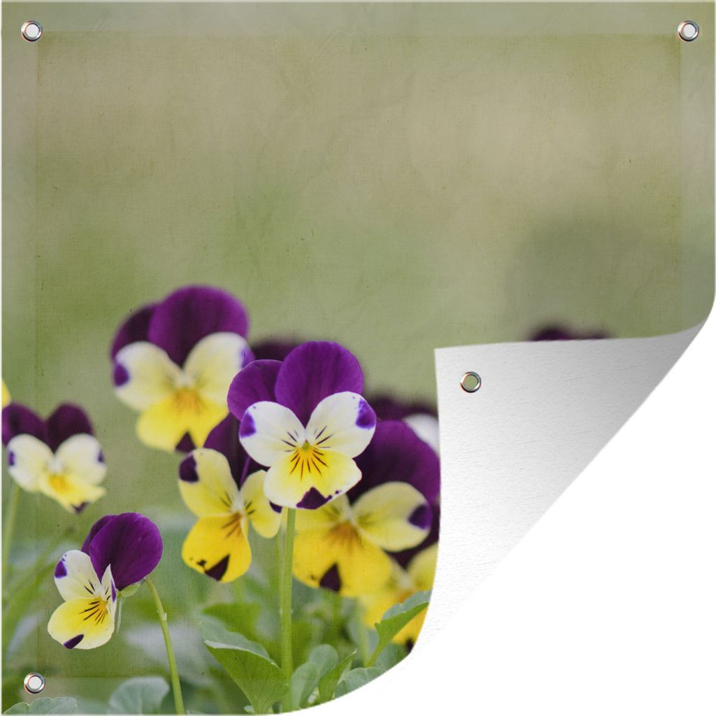 MuchoWow 100x100 cm Outdoor-Poster Gartendeko Sichtschutz Garten Poster für den Garten Gelb mit violetten Veilchen