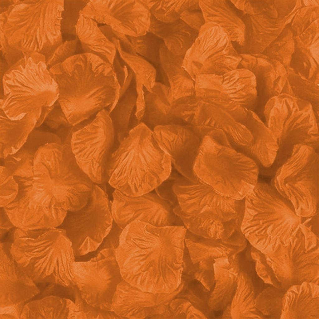 100 petali di rosa, arancio Immagine del prodotto 