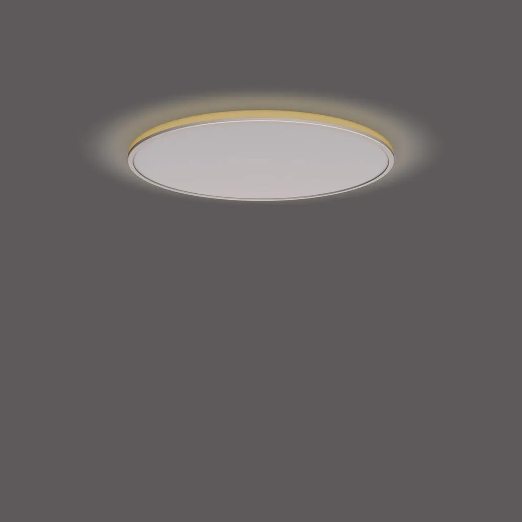 Philips Ozziet Plafonnier SceneSwitch 3900lm à Intensité Variable Blanc - 5