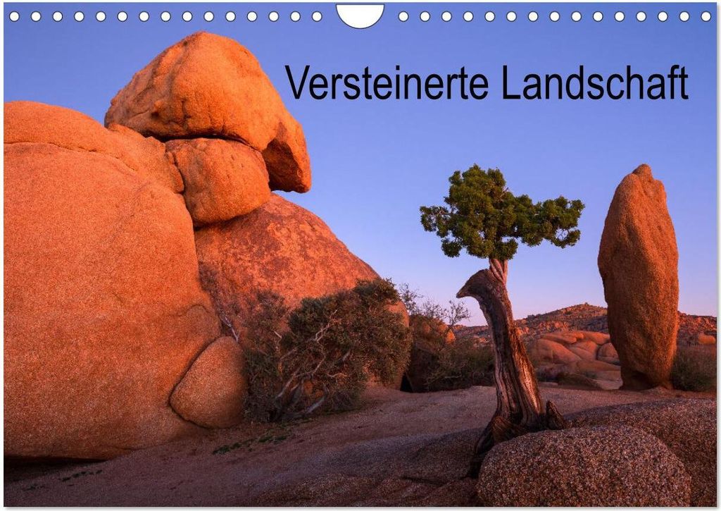 Versteinerte Landschaft (Wandkalender 2026 DIN A4 quer), CALVENDO Monatskalender