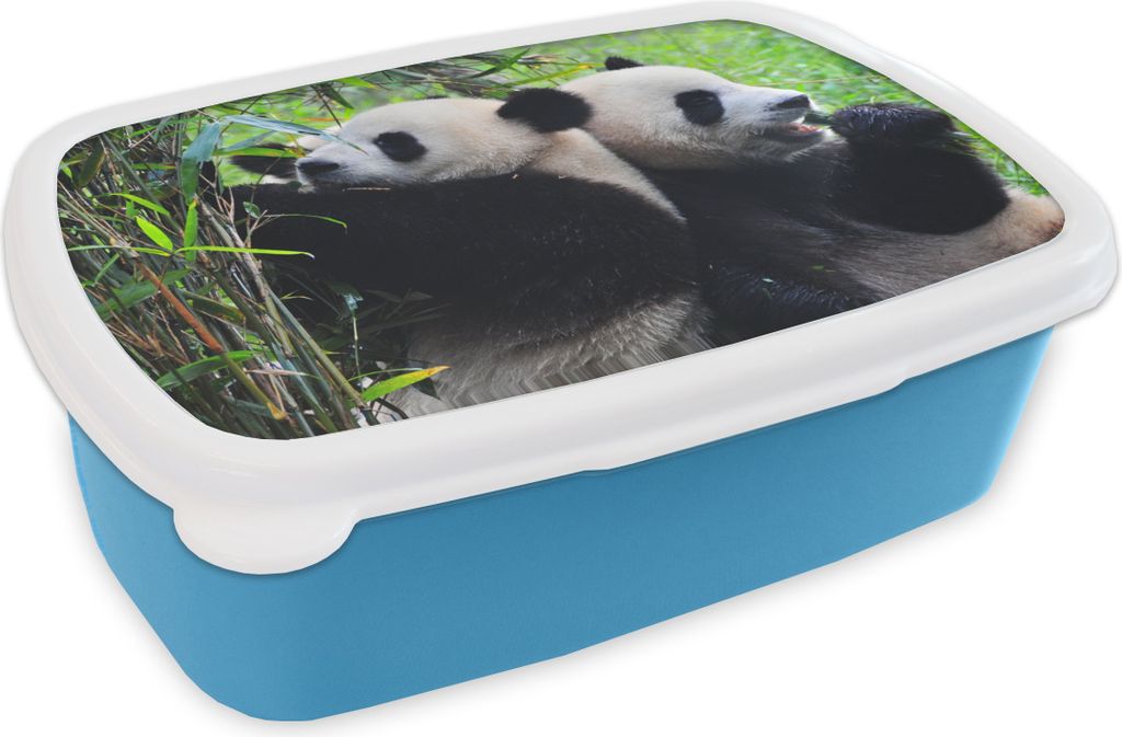 KitchenYeah Lunchbox Brotzeit Brotdose 17x11 cm Panda - Bambus - Natur Kinder Brotzeitdose - Lunch - Kunststoff - Brotbüchse - Sandwichbox - Lu...