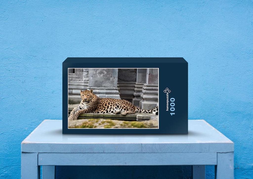 hansepuzzle 77336 - Leopard Puzzle, 1000 Teile, Tierwelt, 60,0 x 46,0cm mit hochwertiger Aufbewahrung, Kartonbox und wiederverschließbarem Beutel