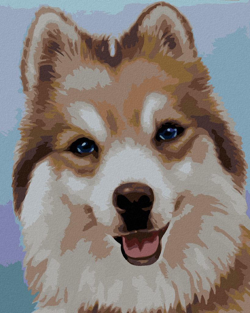 Zuty - Malen nach Zahlen - HUSKY (MYROSLAVA VOLOSCHUK), 40x50 cm, ohne Keilrahmen