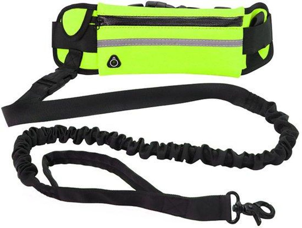 Reflexsicherheits-Hundeleinen für Außenbereiche, fluoreszierende grüne Sporttaschen für Hunde, einfache Einsteckriemen