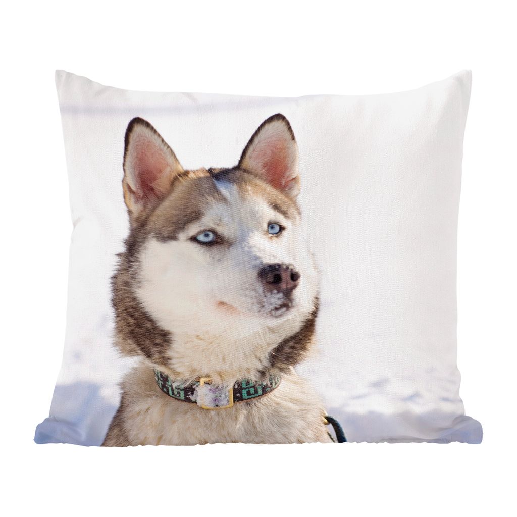 MuchoWow Zierkissen Sofakissen Wohnzimmer Dekokissen 60x60 cm Sibirischer Schlittenhund im Schnee - Sitzfläche - Foto Polster