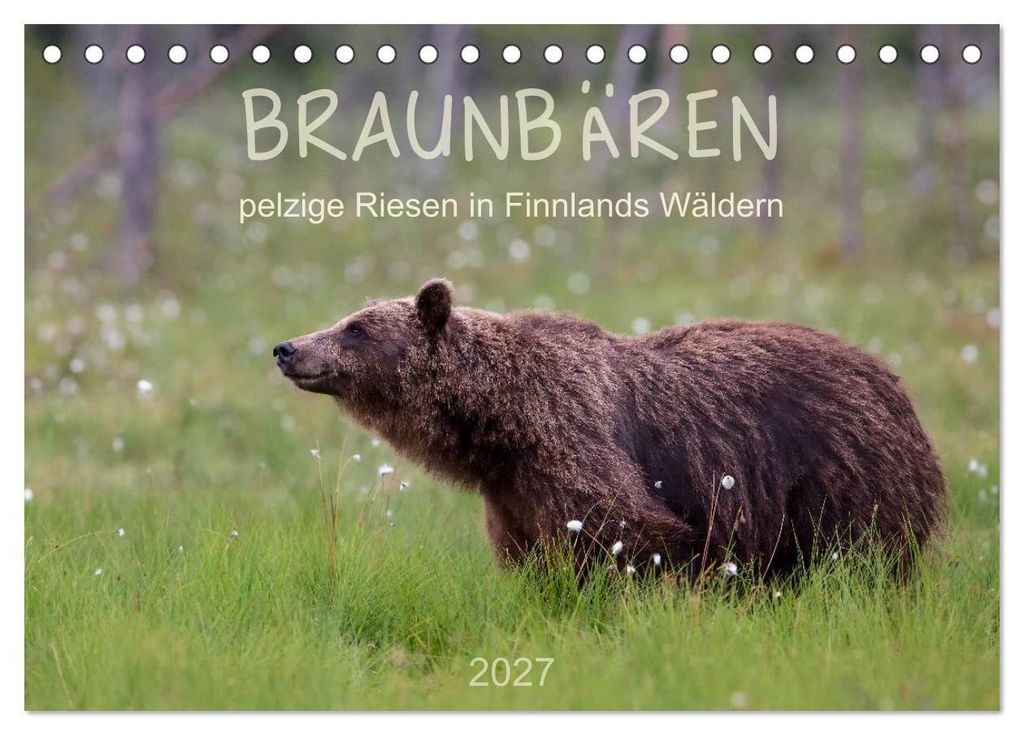 Braunbären - pelzige Riesen in Finnlands Wäldern (Tischkalender 2027 DIN A5 quer), CALVENDO Monatskalender