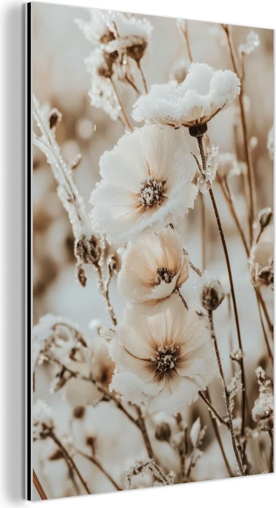 MuchoWow Wanddekoration Metall Metallbild Wandkunst 80x120 cm Blumen - Winter - Weiß - Schnee - Beige MuchoWow Aluminium Gemälde - Bilder