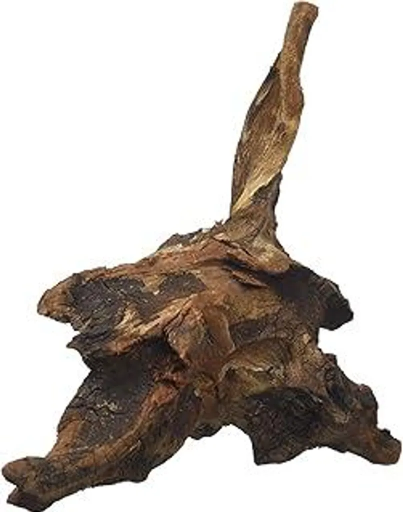 Amtra A8047547 Legno mistico, 15 - 20 cm