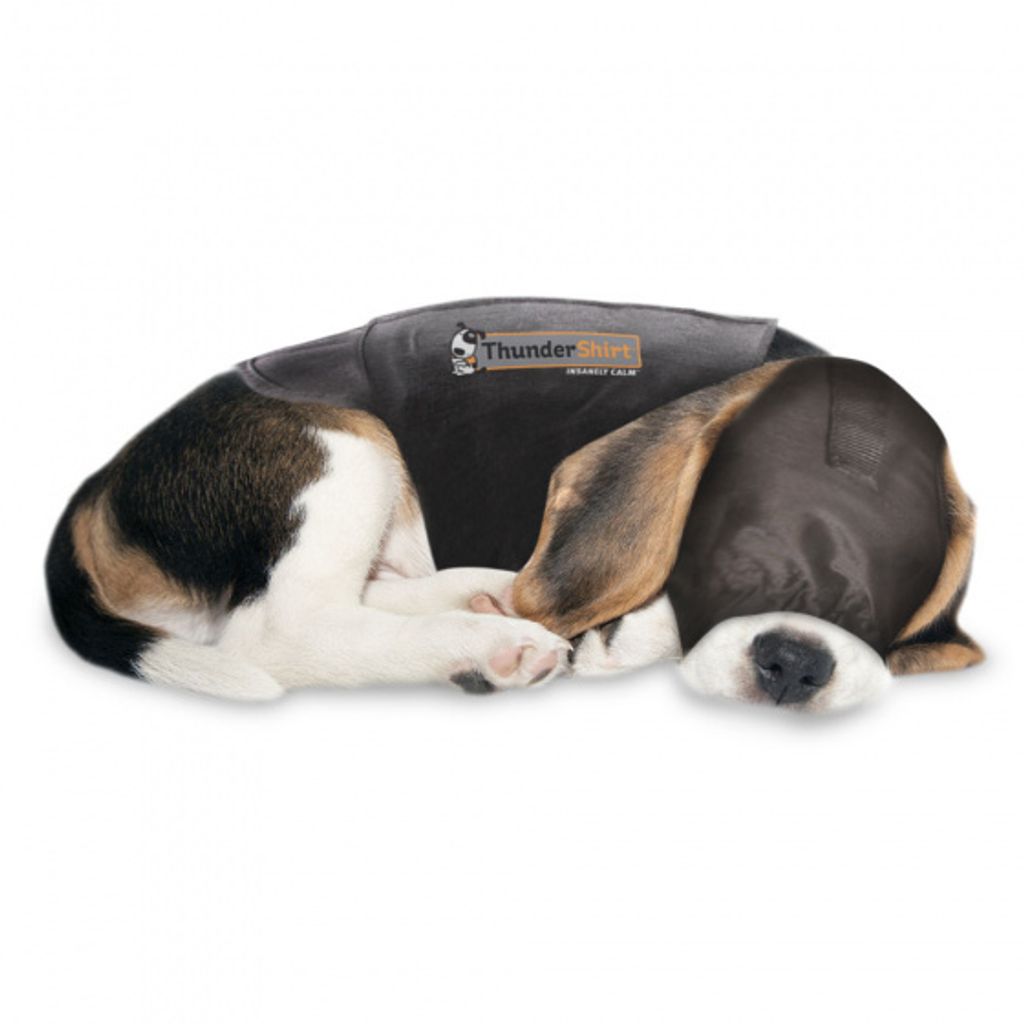 thundershirt calming cap