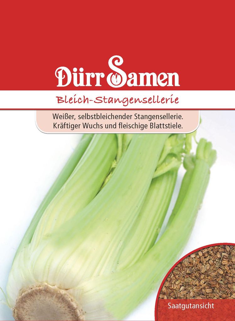 Dürr-Samen - Bleich-Stangensellerie - Saatgut - 0546 Produktbild 