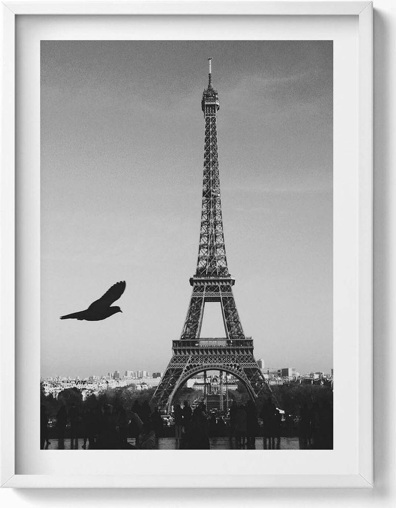 Eiffelturm und ein fliegender Vogel Paris– Wandbild mit Rahmen – Gerahmtes Bild – Wanddekoration – 60x80 cm – Weiß Rahmen