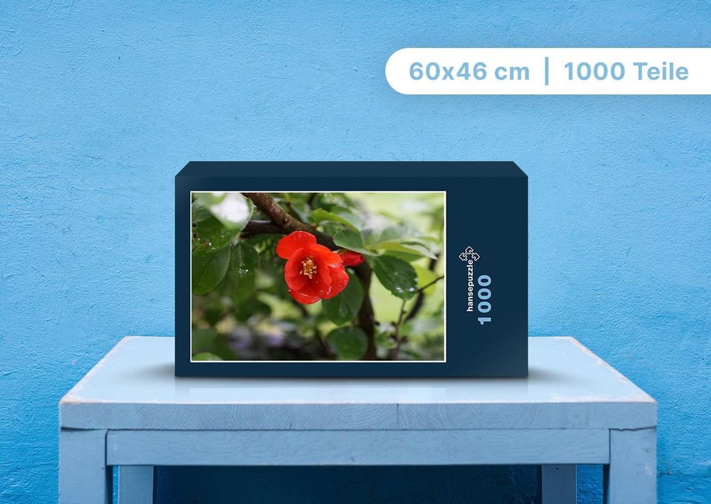 hansepuzzle 99203 - Baum Puzzle, 1000 Teile, Natur, 60,0 x 46,0cm mit hochwertiger Aufbewahrung, Kartonbox und wiederverschließbarem Beutel