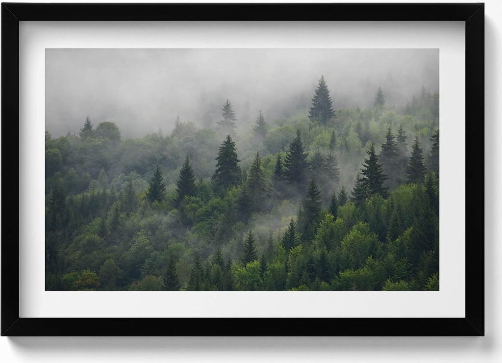 Waldlandschaft im Nebel– Wandbild mit Rahmen – Gerahmtes Bild – Wanddekoration – 60x40 cm – Schwarz Rahmen