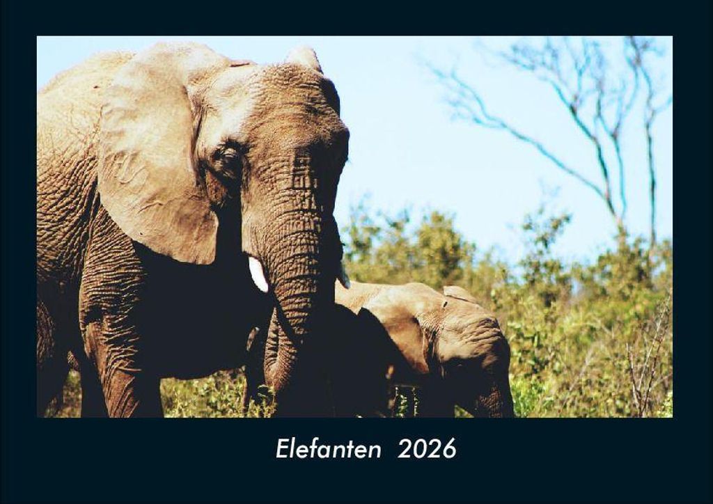 Elefanten 2026 Fotokalender - Querformat DIN A4, Monatskalender mit Bild-Motiven von Haustieren, Bauernhof, wilden Tieren und Raubtieren