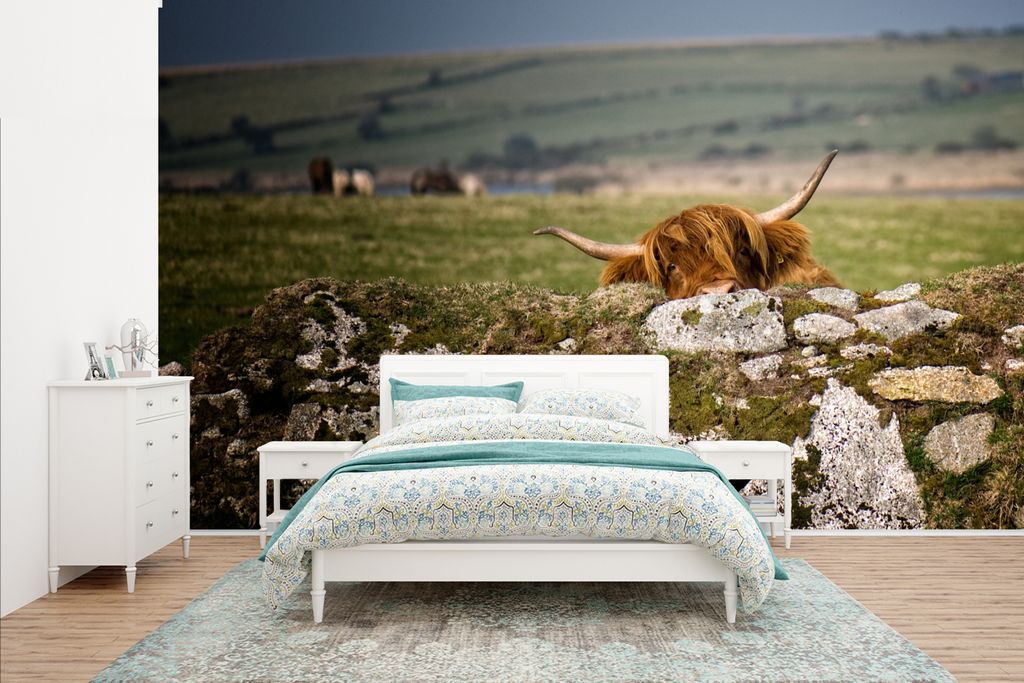 MuchoWow Fototapete für Wohnzimmer oder Schlafzimmer Wandtapete Vinyl Motivtapete Schottische Highlander - Steine - Gras - 435x260 cm - Kinderzi...