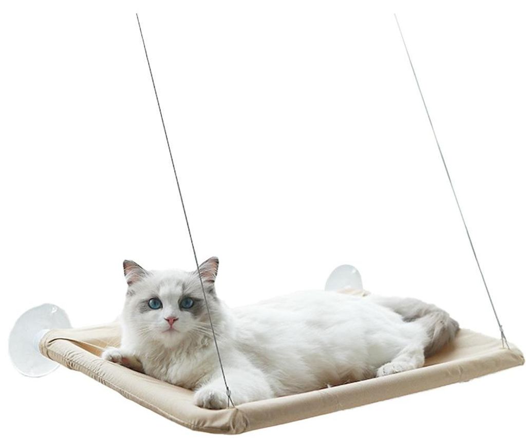 Fenstermontierte, sichere Katzenruhefläche, sonniger Sitz, platzsparende Katzenbetten für Wohnungskatzen