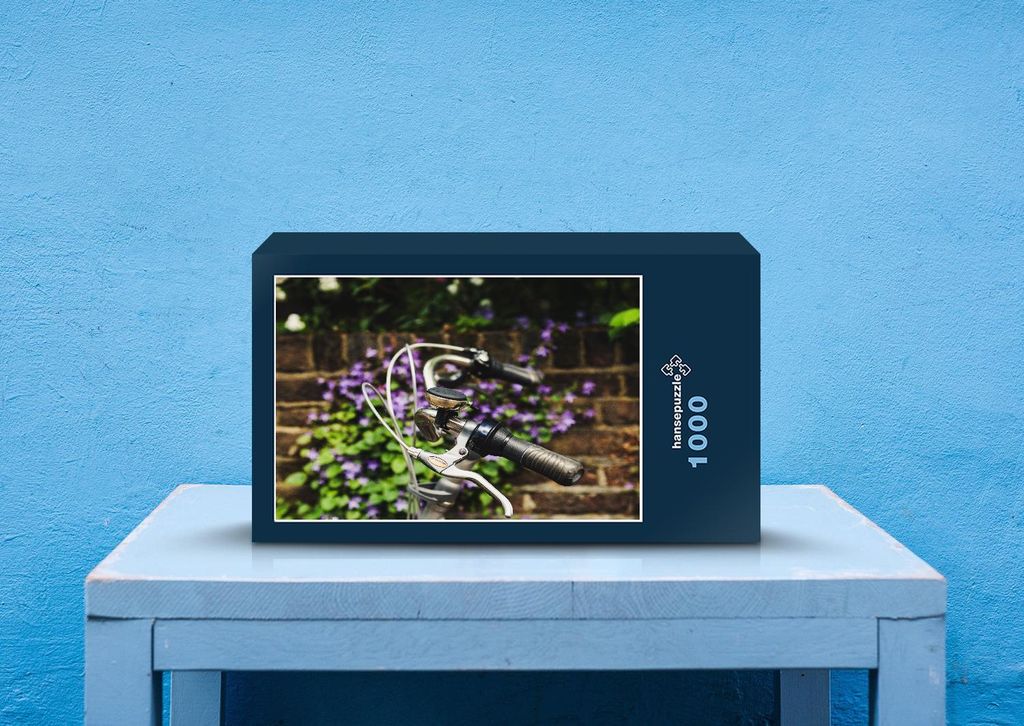 hansepuzzle 21544 - Fahrrad an Hauswand Puzzle, 1000 Teile, Sport, 60,0 x 46,0cm mit hochwertiger Aufbewahrung, Kartonbox & Beutel