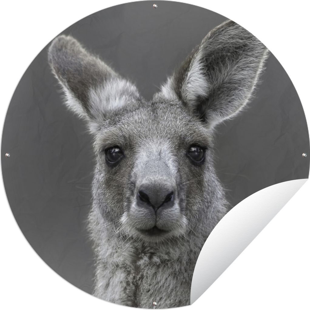 MuchoWow Gartenposter Outdoor-Poster Rund Känguru - Tiere - Schwarz - Weiß Ø 150 cm Gartendeko Rundes Poster draußen