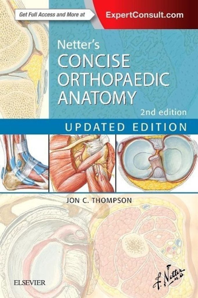 Netter's Concise Orthopaedic Anatomy