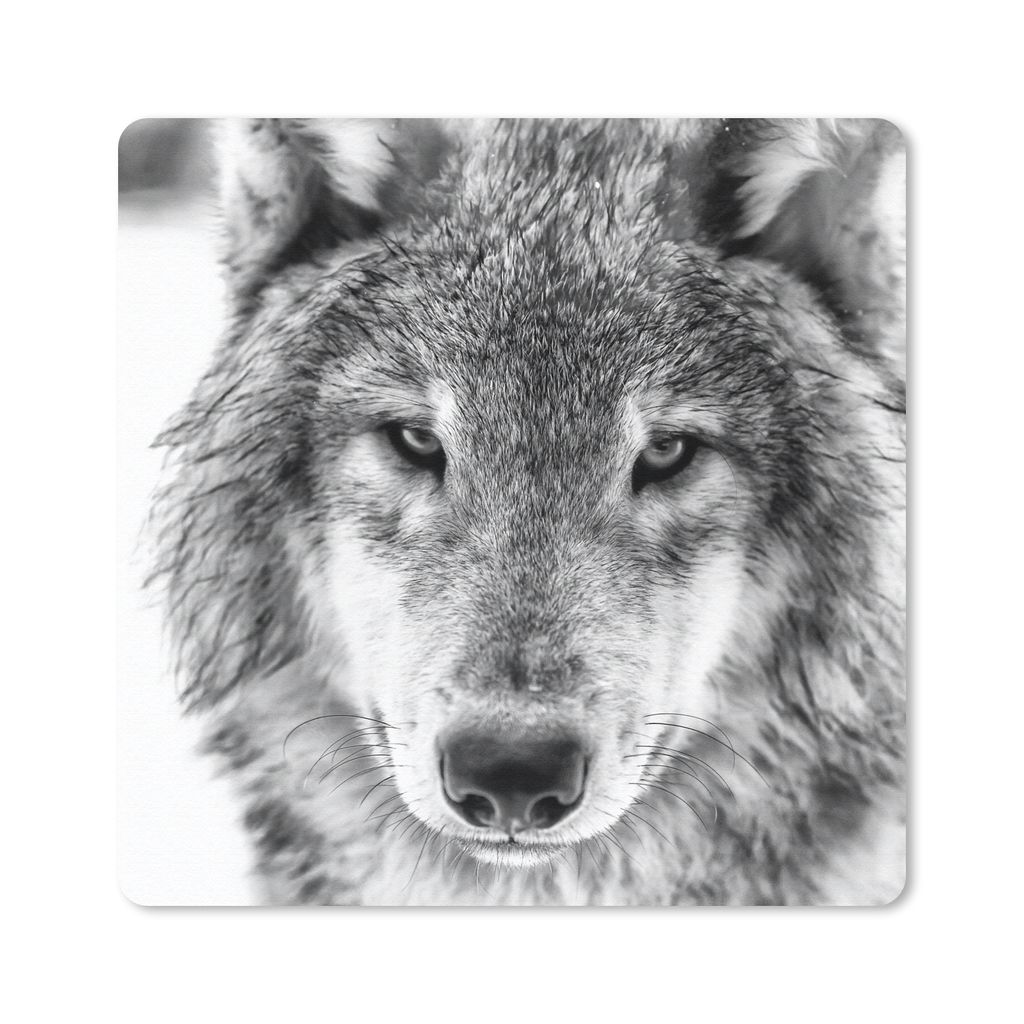 MuchoWow Mauspad Mousepad Tierprofil Wolf in schwarz und weiß 20x20 cm - Mousepads - Maus Mat - Pad - Mausunterlage - Desk Mat - Bureauartikeln