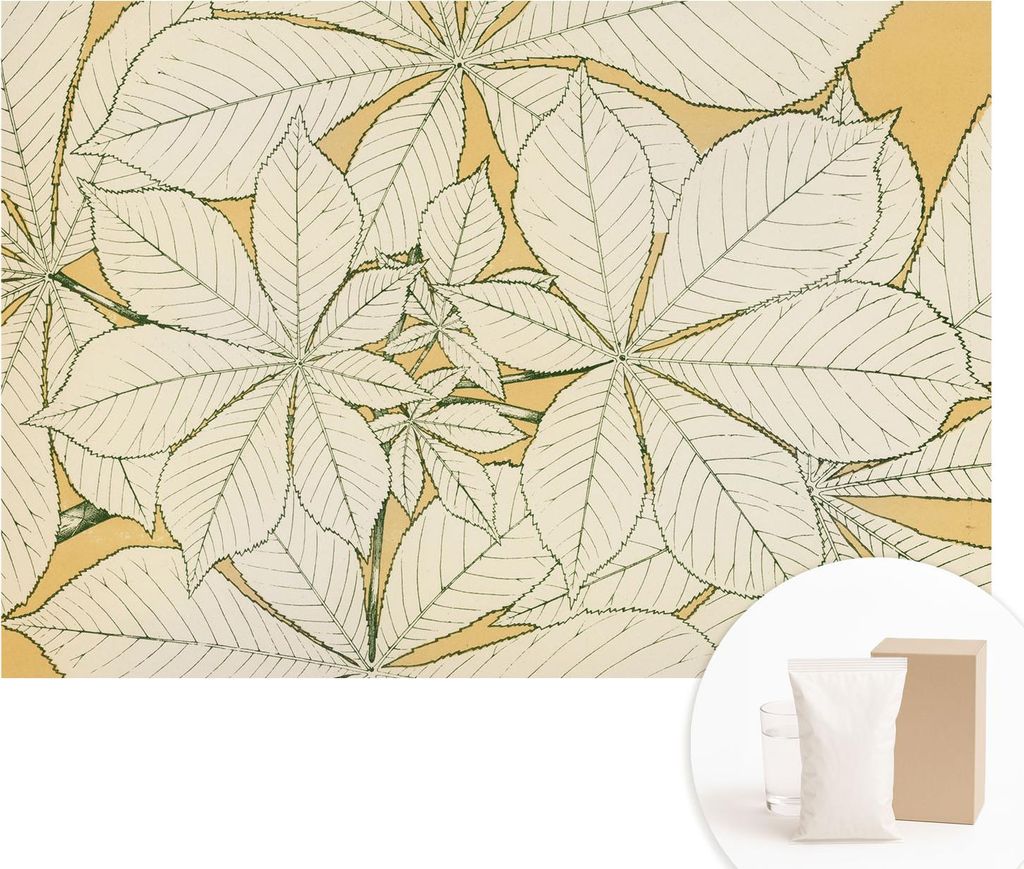 Fototapete - Wandbilder für Wohnzimmer - 152x104 cm - Dekorative Wandfolie - Modernes Design für Wanddekoration - Tapeten für Innenräume - Kast...