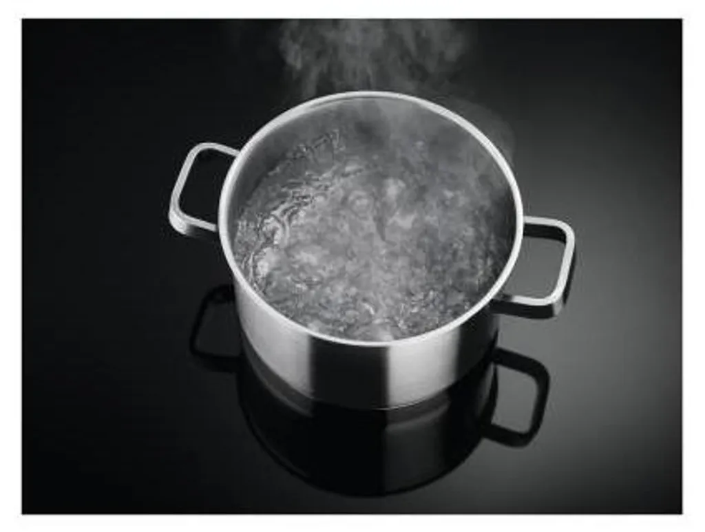 Plat de Cuisson Mixte pour Cuisson Précise Induction et Puissance Gaz