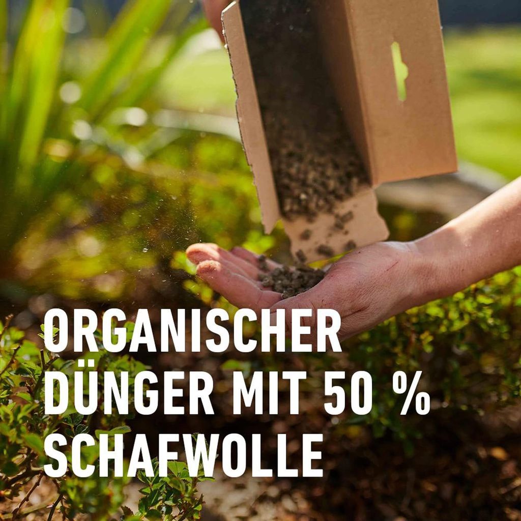 COMPO Rosen Langzeit-Dnger mit Schafwolle 2 kg Dnger