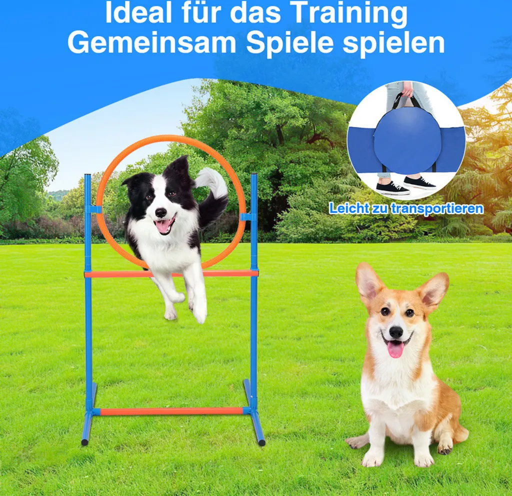 Set Agility Chien : Solution Contre l'Ennui et Manque d'Exercice Canin