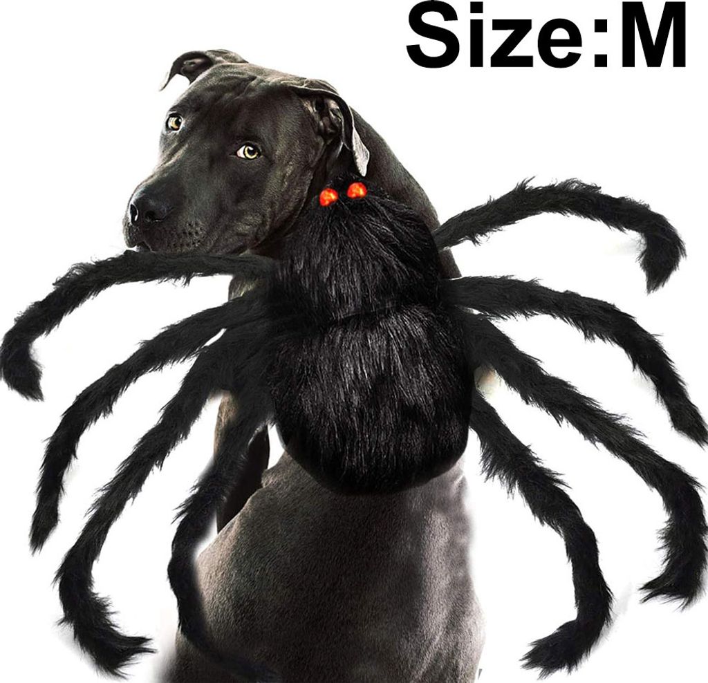 Haustierkostüm Spinne Halloween Haustier Cosplay Hundekatzenkostüme Bekleidung für mittelgroße und kleine Hunde Katzen Outfit Verkleidungszubehör