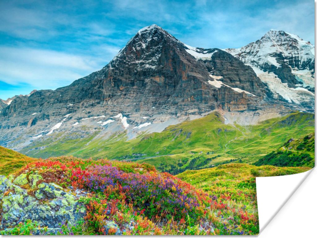 MuchoWow Poster Blumen - Berge - Schnee - Landschaft 120x90 cm - Wandbild
